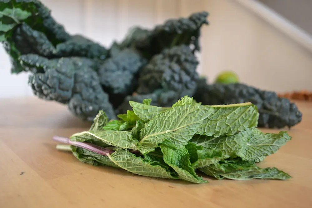 Kale and Mint Salad