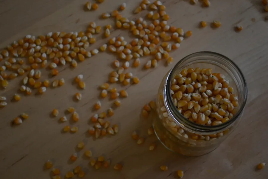 Popcorn kernels for cheesy popcorn. Full recipe on BigTasteTinySpace.com