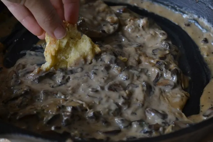 Use a cheesy biscuit to sop up every last drop of this mushroom gravy. Full recipe on BigTasteTinySpace.com for biscuits and mushroom gravy.